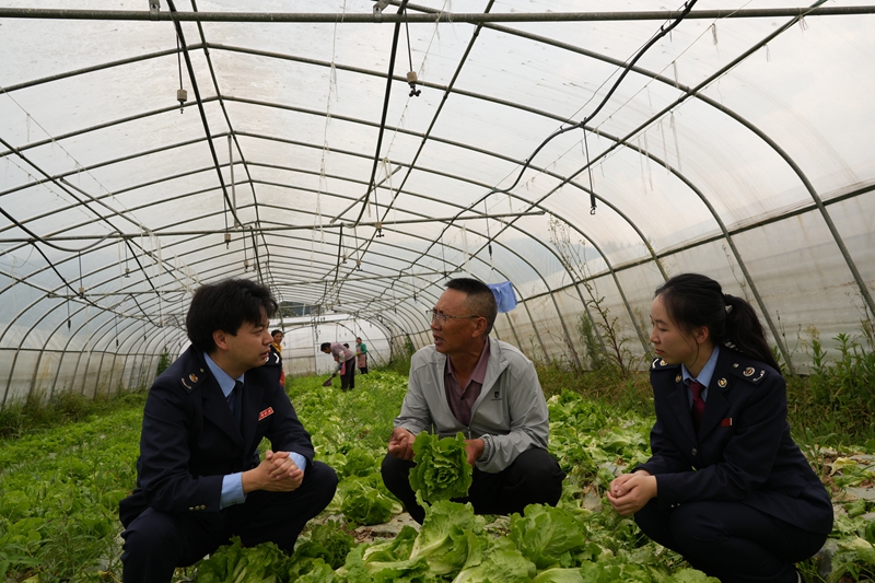 納雍稅務青年干部向管理人員了解大棚蔬菜種植及銷售情況（趙念祖 攝）.jpg