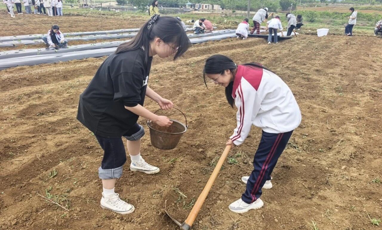 组织学生开展农耕实践教育活动。