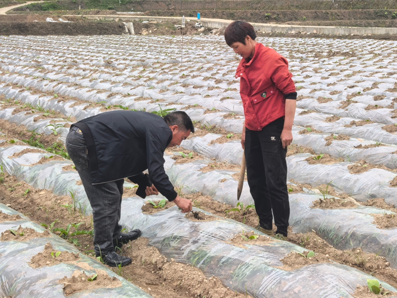 田间指导4.jpg