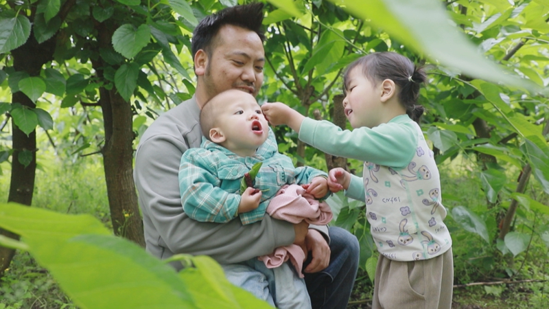 5月4日 游客劉邦帶孩子採摘桑葚（熊立燕 攝）