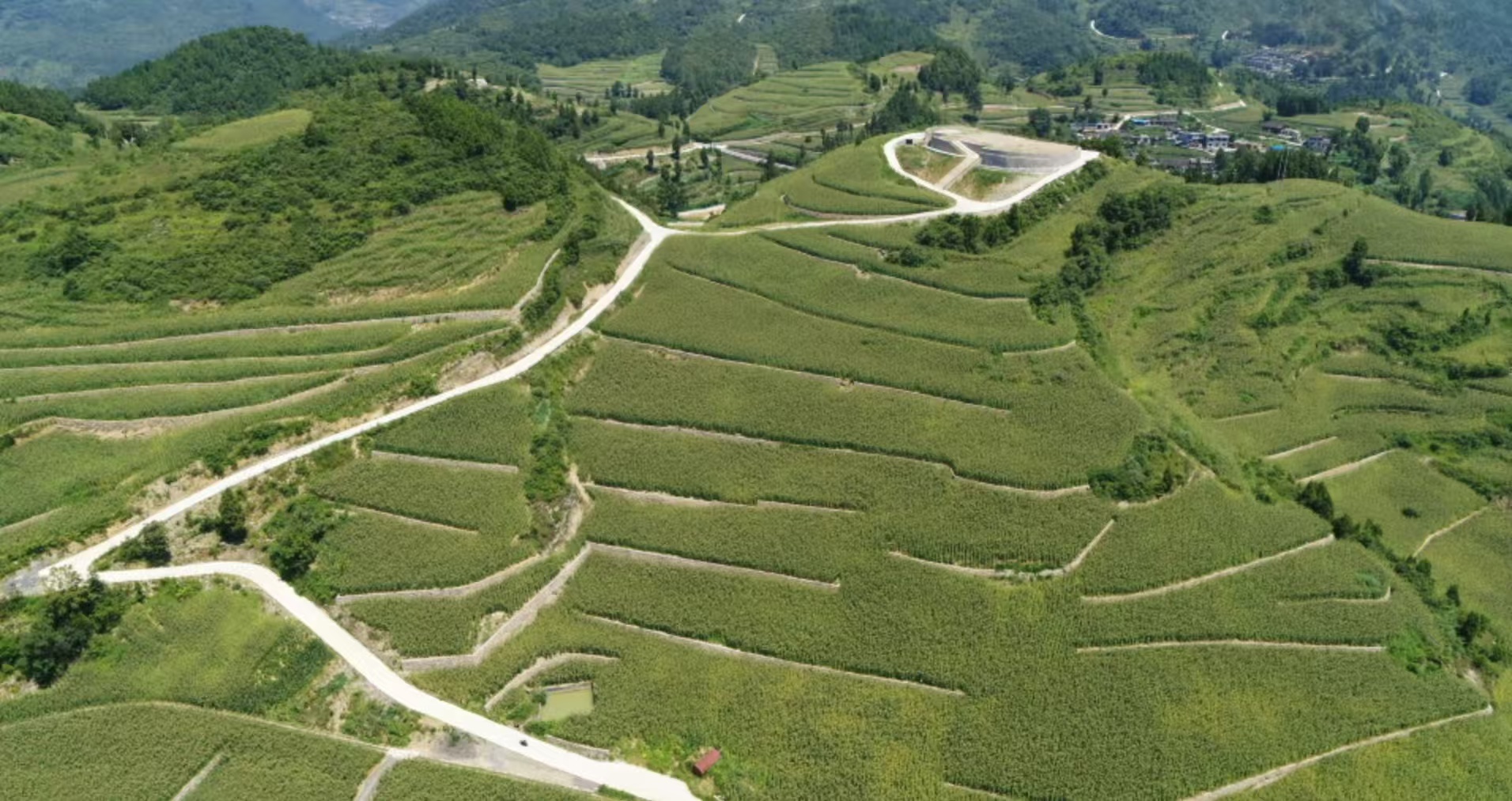 茅坝镇高标农田基地。