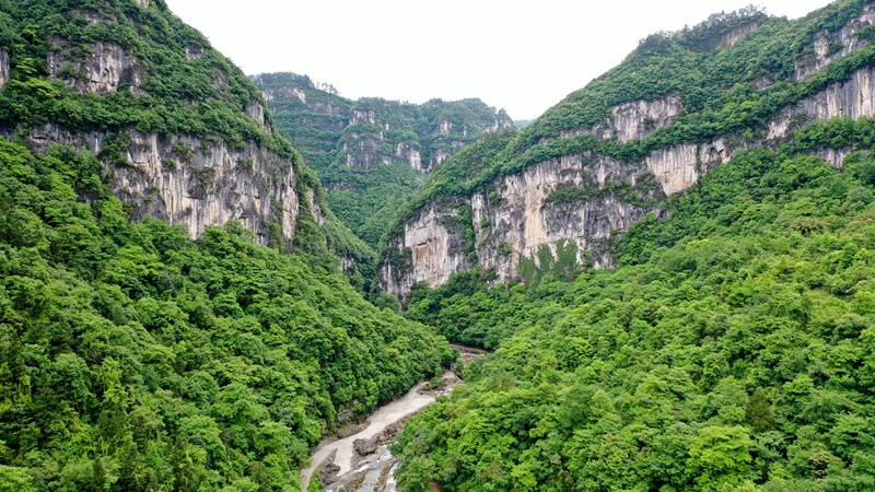 南江大峡谷。