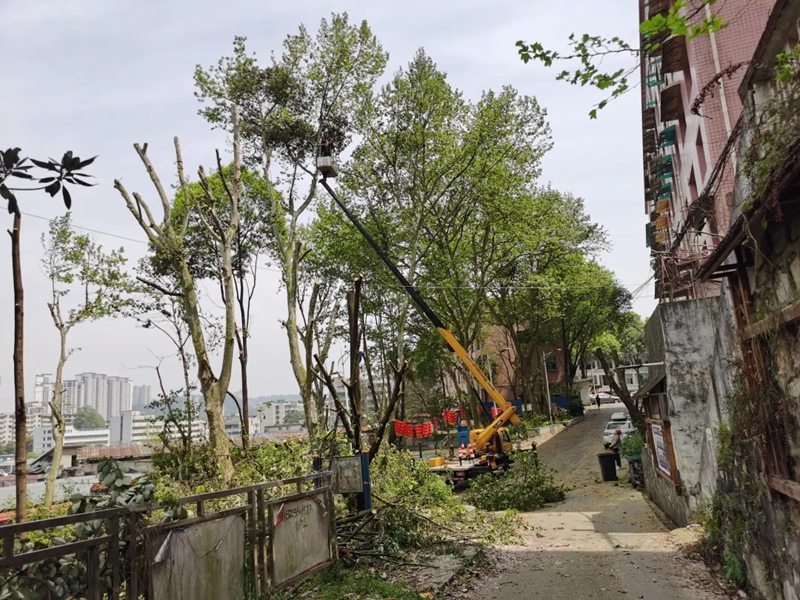 施工现场。