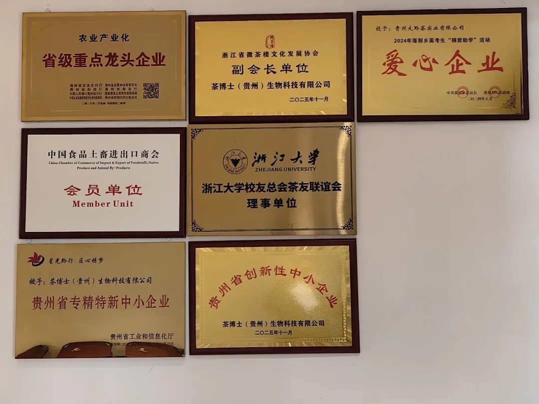 鐘山茶企以科技創新激活產業新活力。