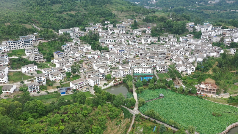 標准化、規模化民宿集群.jpg