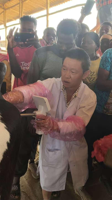 牛可视输精枪推广示范实操指导.jpg