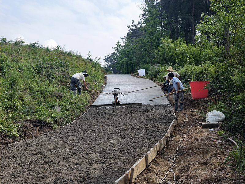 龍山鎮干橋村村民正在參與修建產業路。
