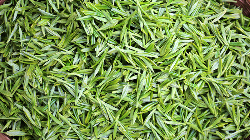 翠綠的茶青。