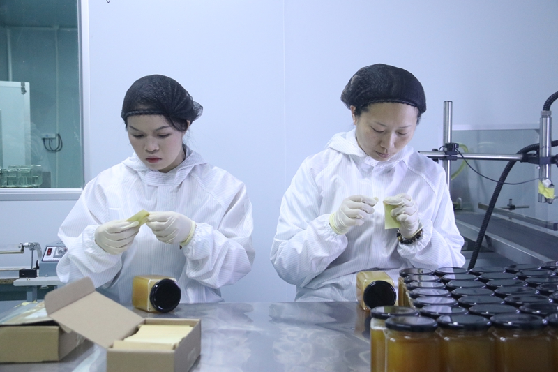獨山甜蜜產業賦能鄉村振興路。