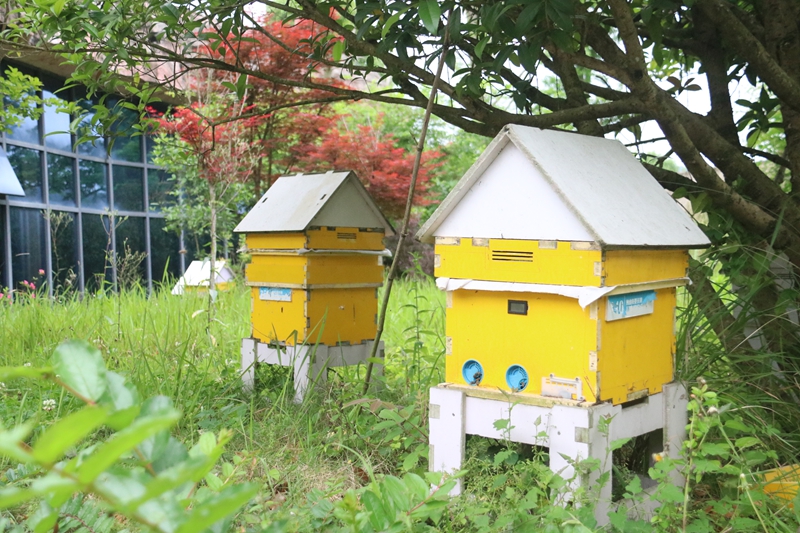 獨山甜蜜產業賦能鄉村振興路。