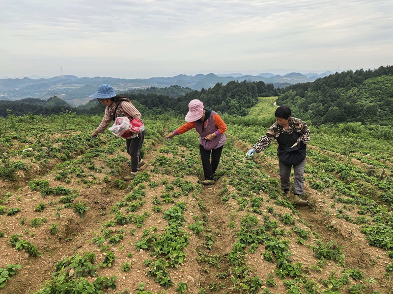 基地吸納村民就近務工。.jpg