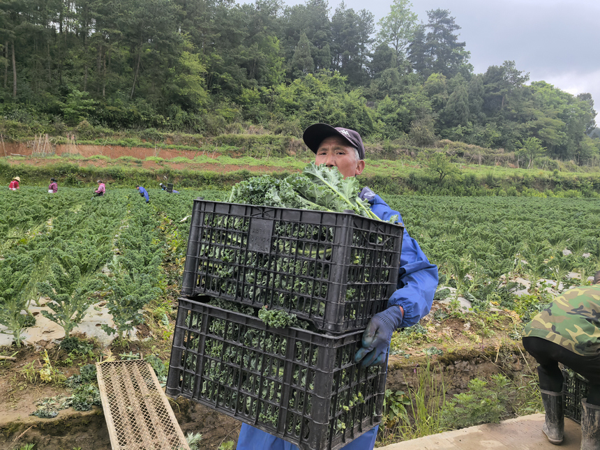 村民正在搬运。