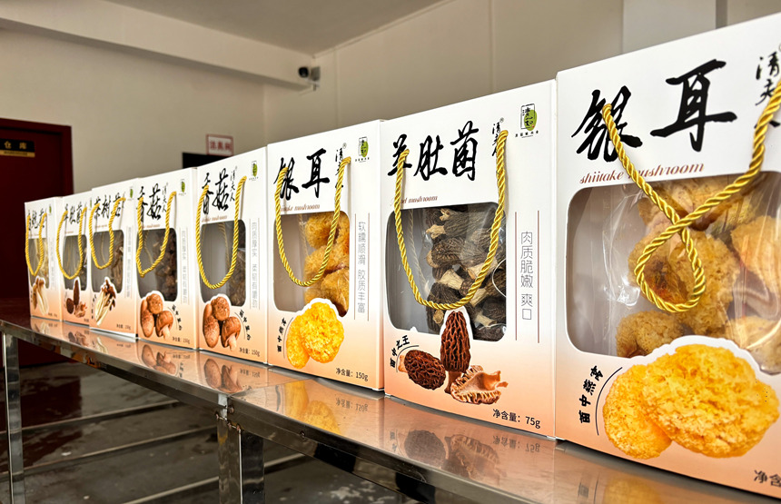 “清菇娘” 菌菇礼盒整装待发，出山入湾。刁苓沙摄