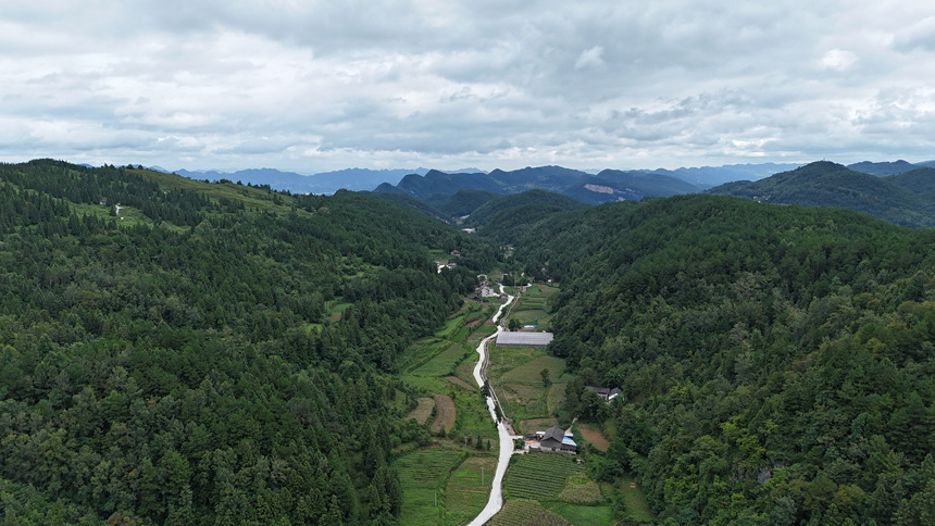 北塔村。