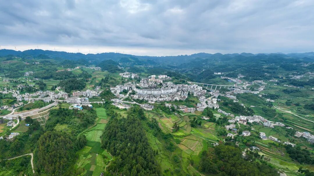贵州桐梓:种植业稳中提质养殖业稳产增效(图1)