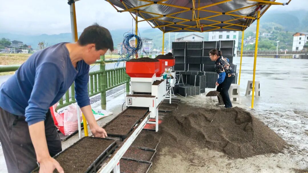 贵州桐梓:种植业稳中提质养殖业稳产增效(图2)