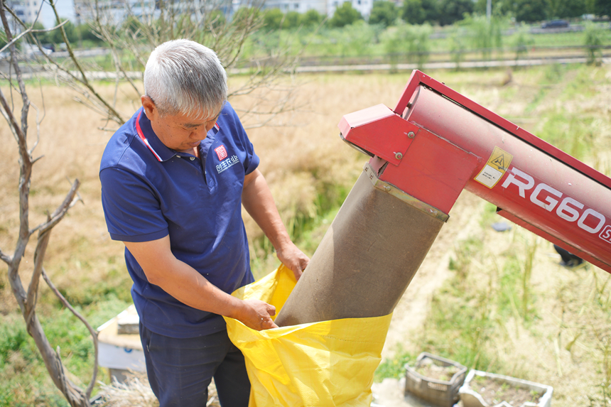 在茅坝镇官院坝区，农户进行装籽。