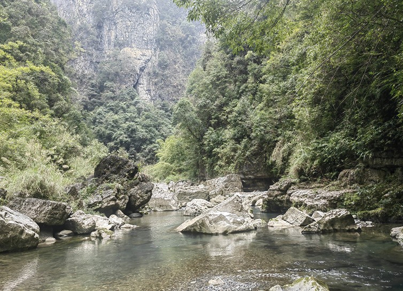 麻阳河国家级自然保护区.jpg