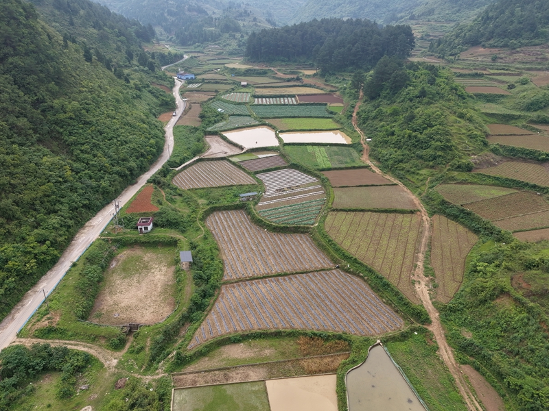 新华村蔬菜基地.jpg
