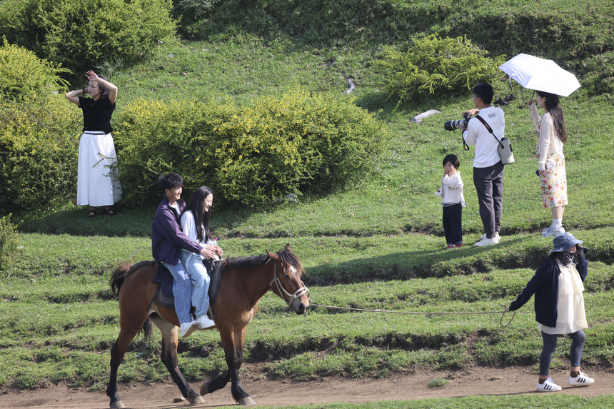 贵州威宁百草坪：夏日美如画。