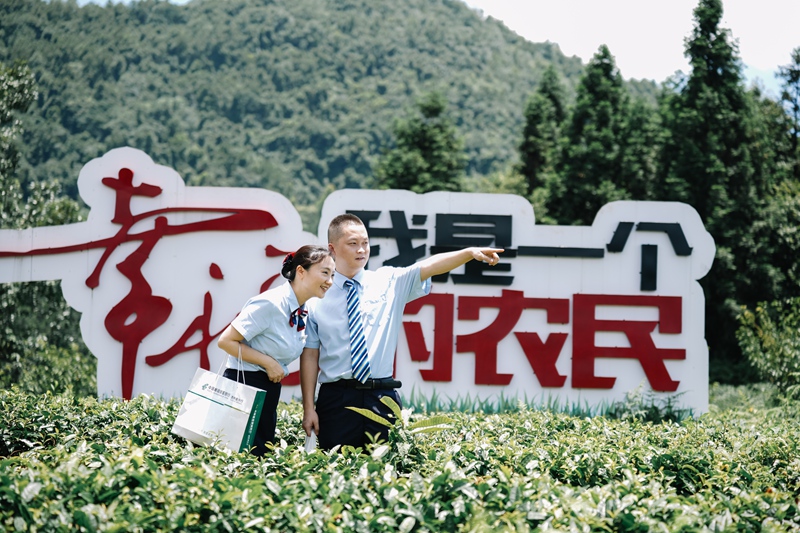 1-金融支持茶產業