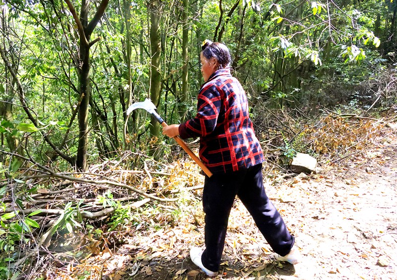 3 苏廷美日常巡山中