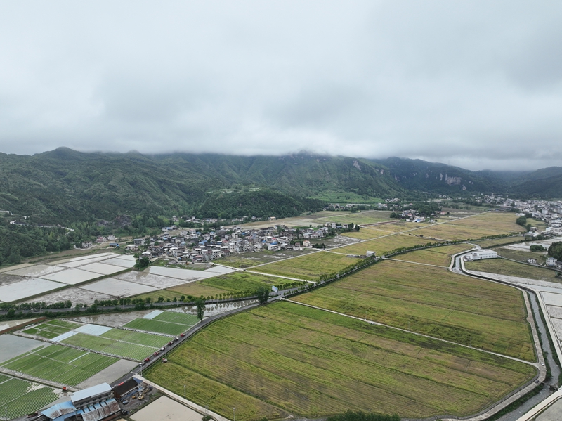 乌罗大坝油菜全景.jpg