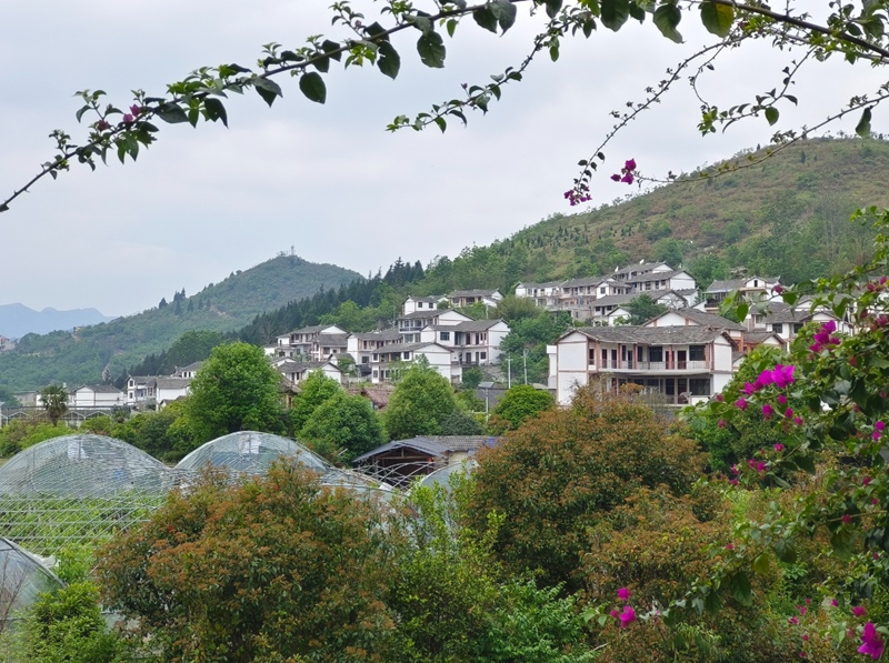 7 图为关岭顶云街道石板井村景色美如画