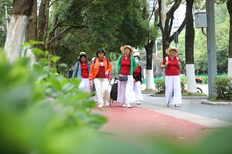 市民游客邂逅浪漫绣球花。