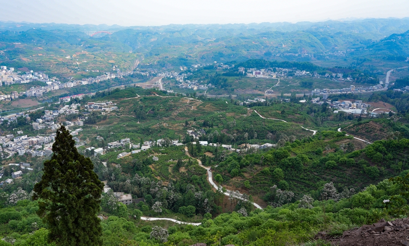 2026年4月15日,貴州省畢節市納雍縣維新鎮坪子村,剛修的產業路貫穿櫻桃園。 楊英 攝.jpg