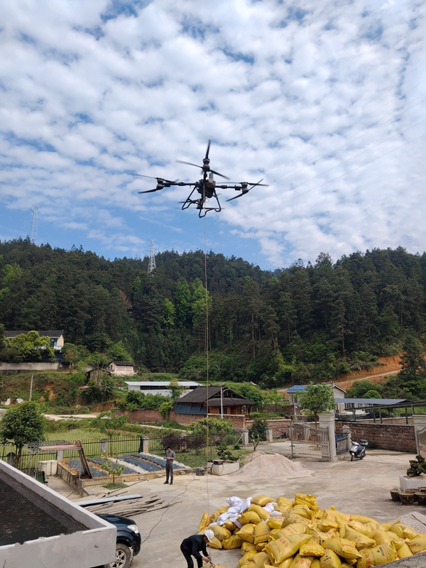 無人機運送油茶種植肥料。陸傳春 攝