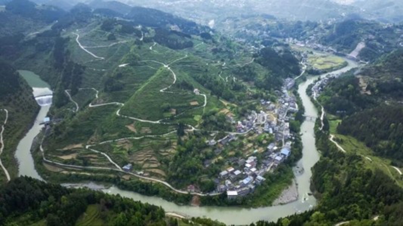 白果树村.jpg