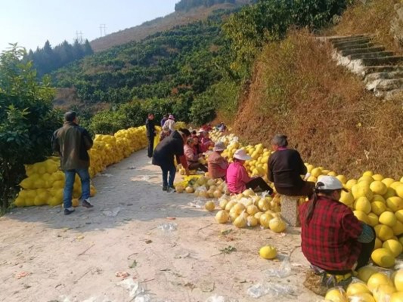 成果共享，画好和美乡村“同心圆”.jpg