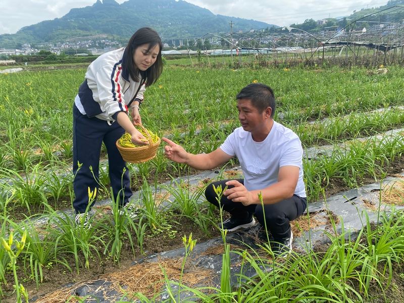 頭雁領航興特色產業。