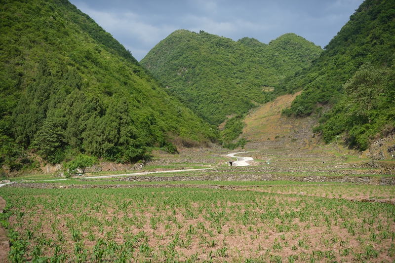 修建完成的機耕道。.JPG