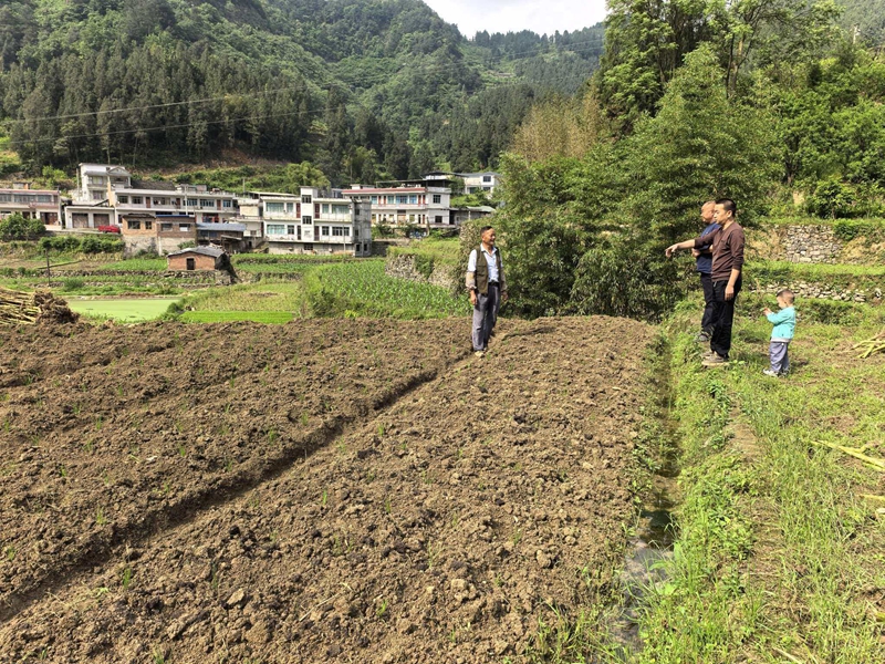 鎮村干部田間踏勘，規劃高粱種植地塊。謝永恆 攝.jpg