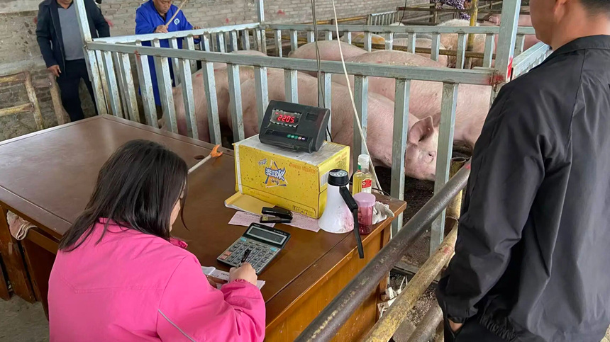 安順經開區貴聚富生豬交易市場。