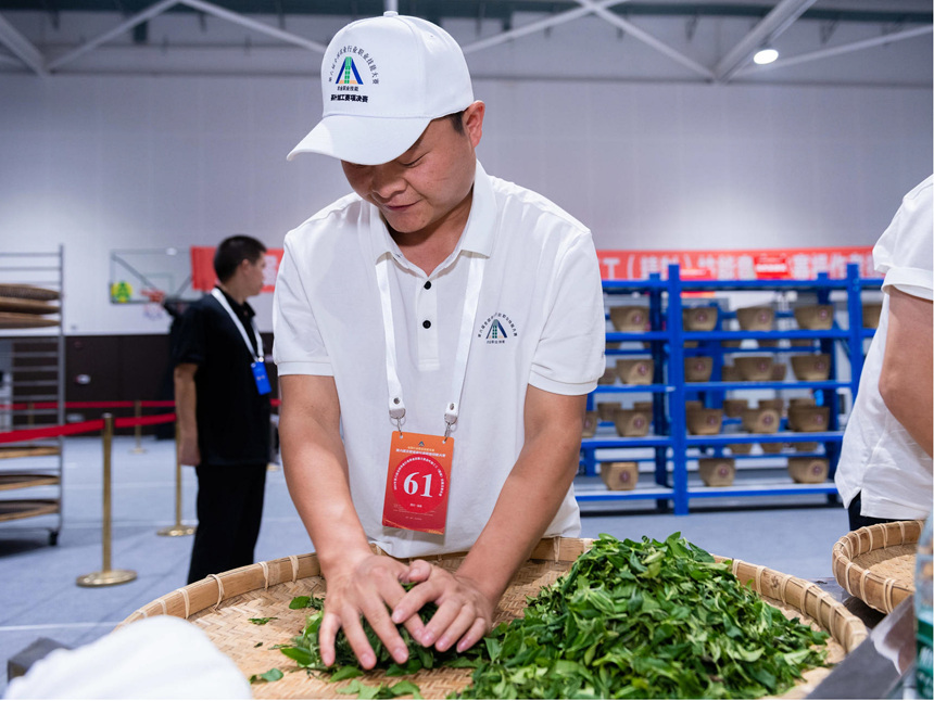 揉捻茶葉。