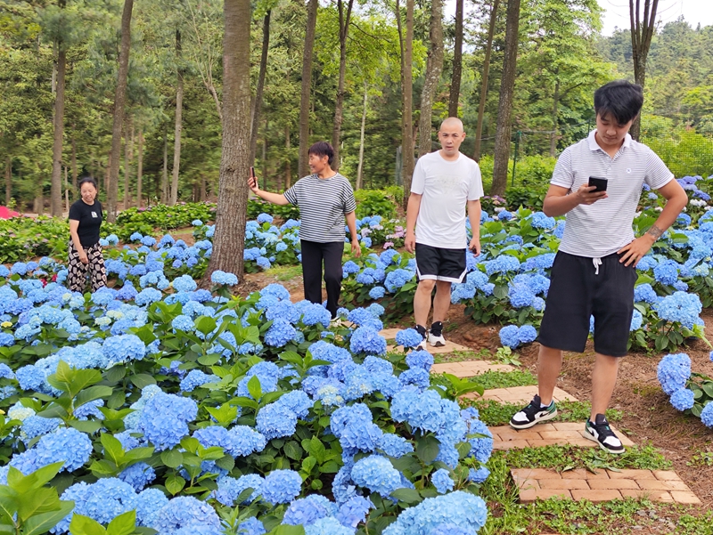 村民在花卉园内赏花。鄢永华摄.jpg