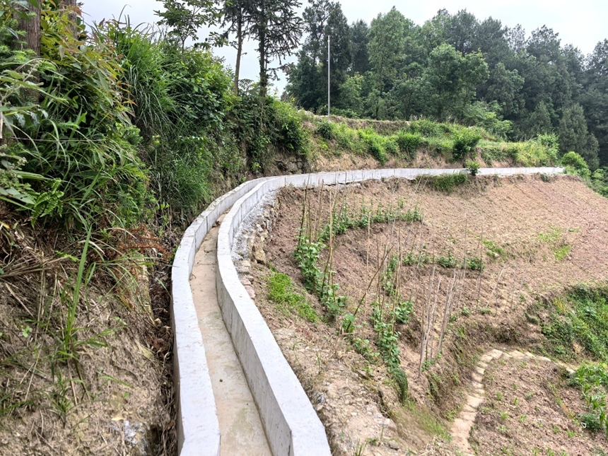 新修灌溉溝渠蜿蜒，為良田引來 “活水”。王燁攝