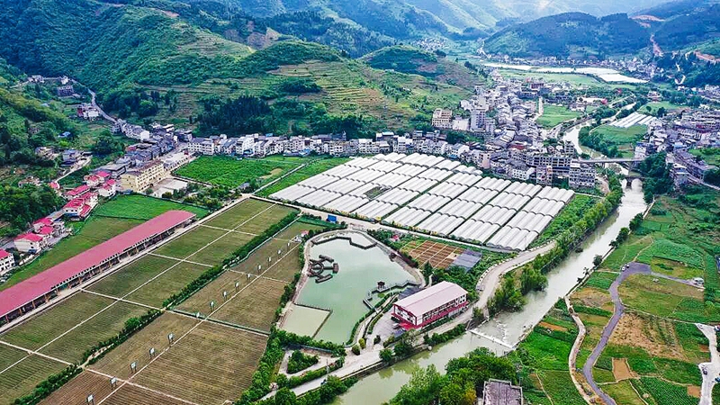 1、貴州茅台流域東升農場。.JPG