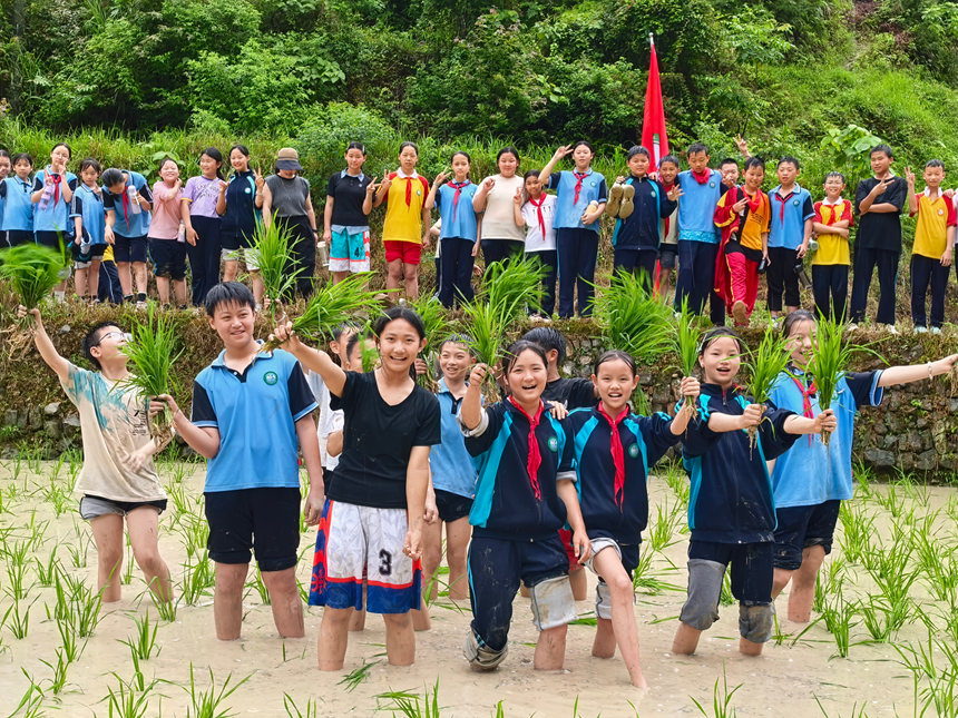 石阡县第五小学：田间插秧迎六一 劳动实践润童心。