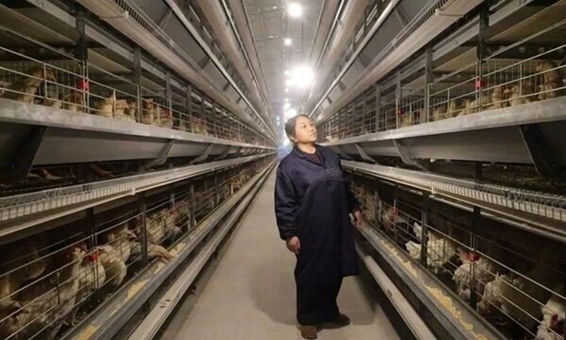 工作中的吴小平。