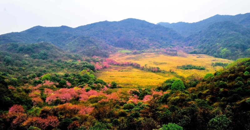 雷公山一隅。雷山县政府办供图