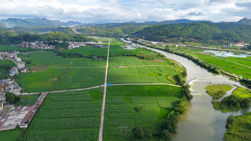 昌明镇黄土村产业路贯通，有效连接通组路、机耕道和旅游慢行道，形成多网融合的微循环体系。