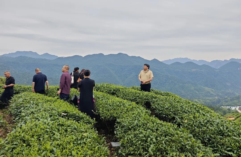 活动现场 (4)