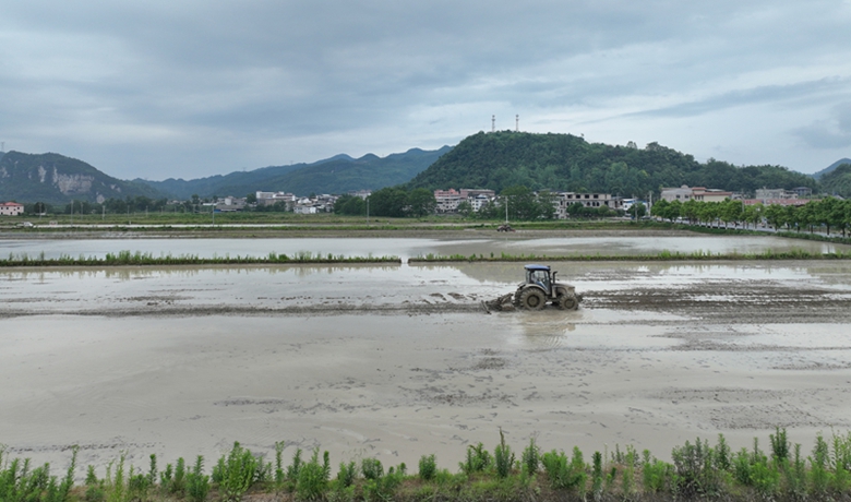 松桃推进机械化插秧 科技助力夏种跑出“加速度”