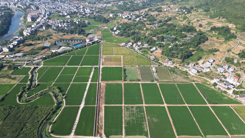2024年莞思共建产业园区——思南县塘头镇现代高效农业示范园区。