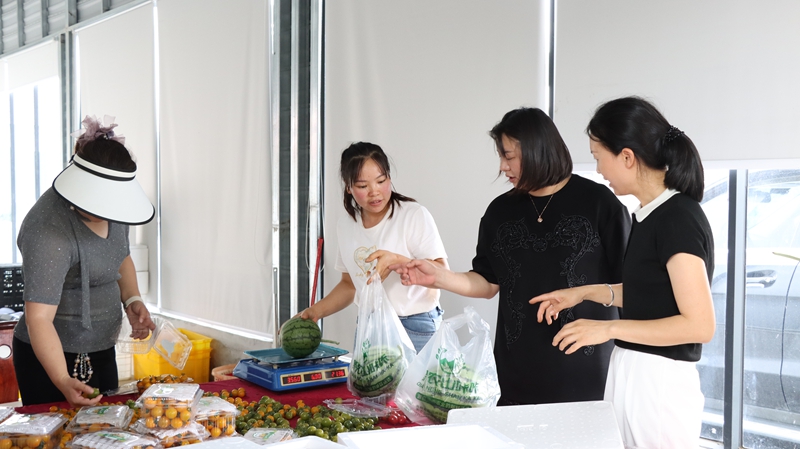 貴州獨山三橋社區西瓜成熟上市。