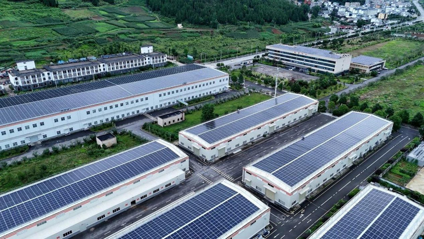 梵净抹茶拓宽中国新特产之路。